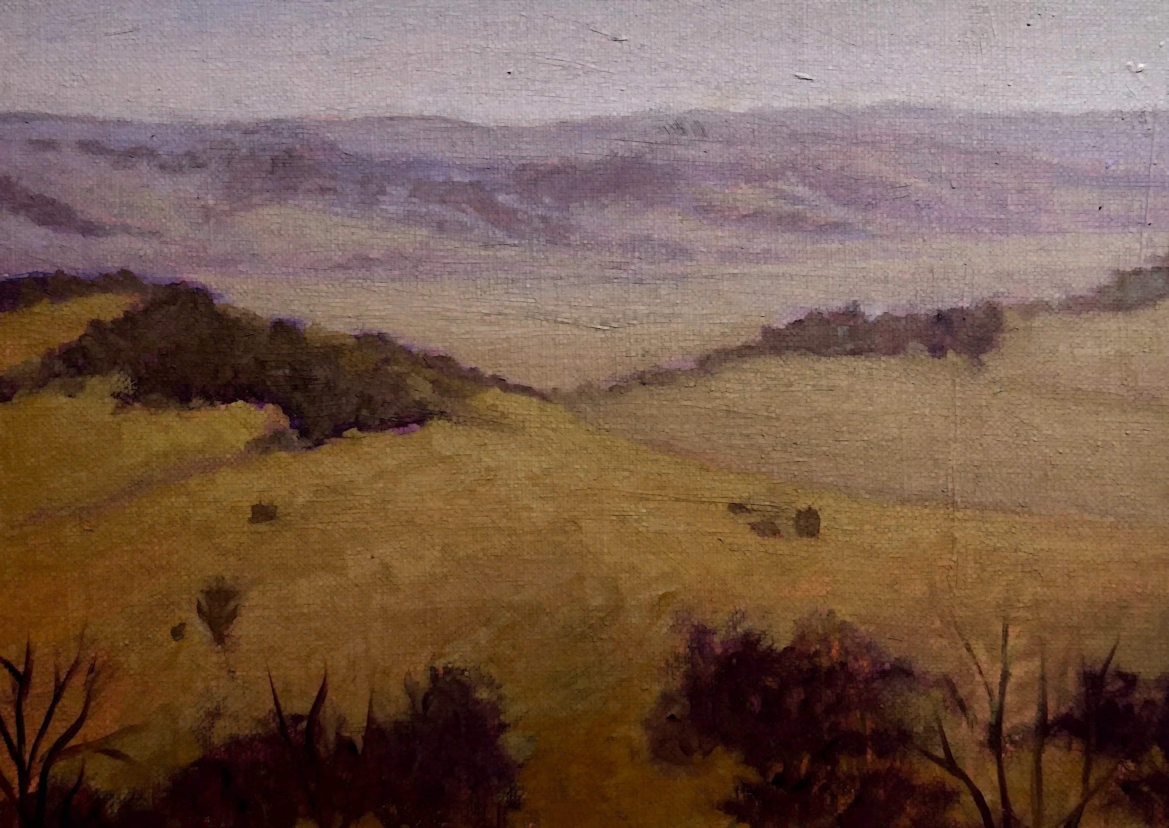 Plein air paintings by Jeremy Vlcan