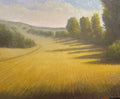 Fields near Hitchcock — Oil on Canvas by Jeremy Vlcan