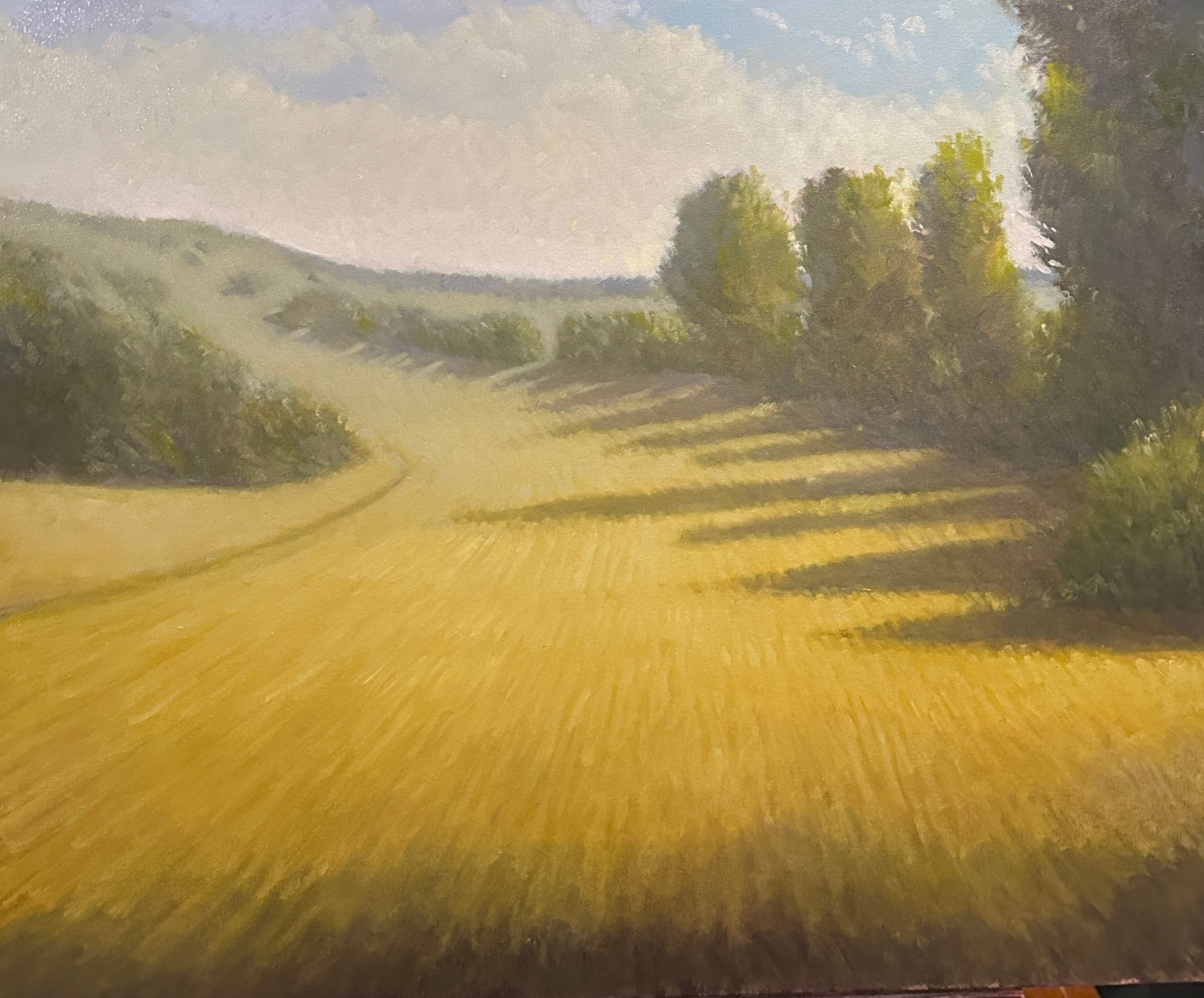 Fields near Hitchcock — Oil on Canvas by Jeremy Vlcan