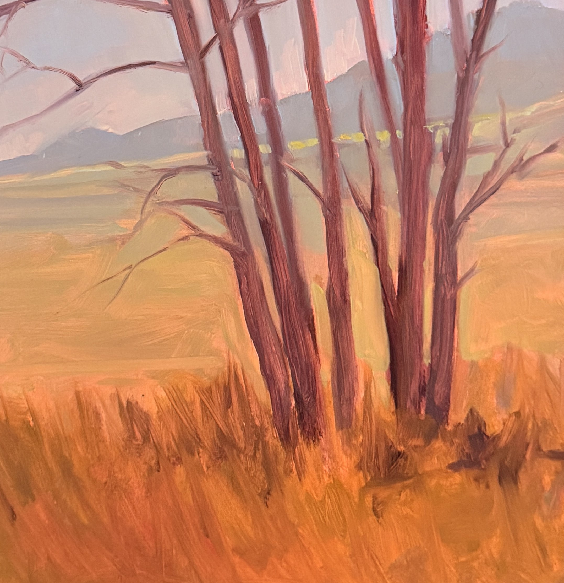 Foothills of Salida - oil on linen by Jeremy Vlcan