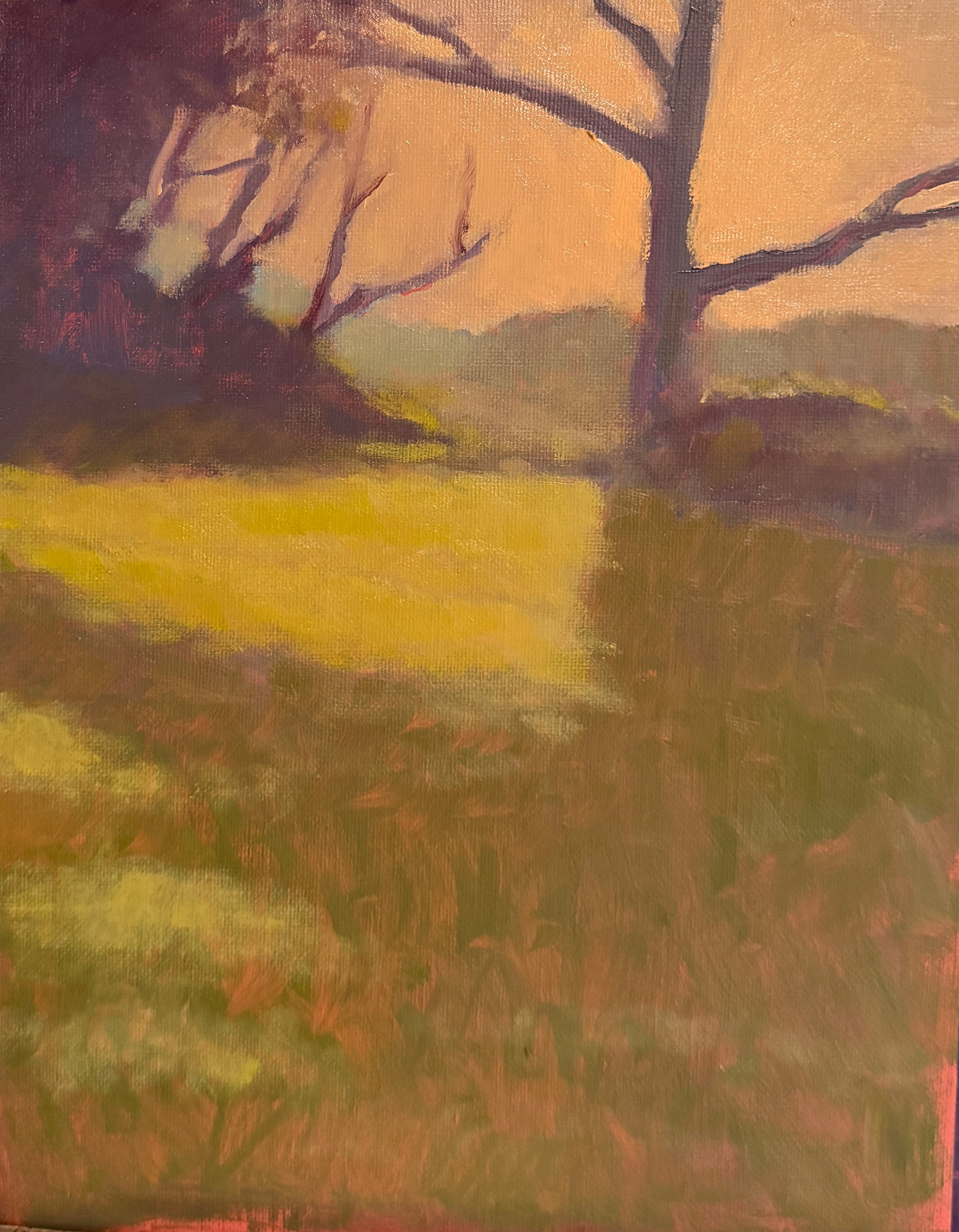 Neighbor's front yard at sunset — Oil on Linen by Jeremy Vlcan